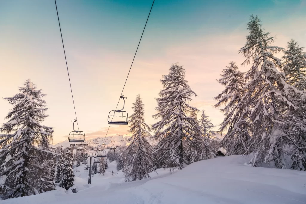 Why Psychedelics Work: a Ski Analogy