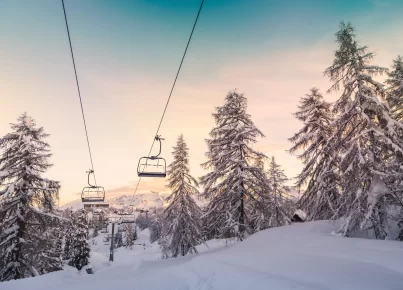Why Psychedelics Work: a Ski Analogy